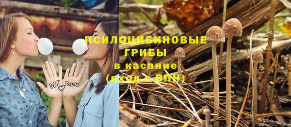 метадон Алексин