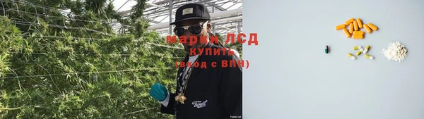 метадон Алексин