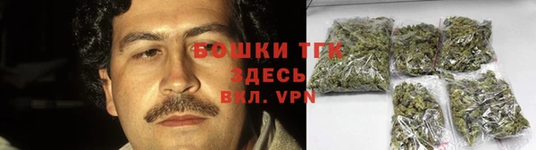 дмт Переславль-Залесский